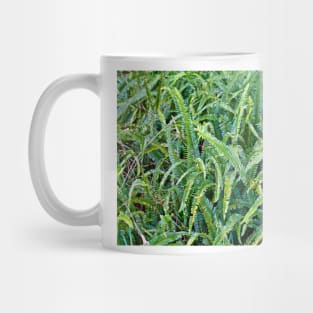 Kula Botanical Gardens Study 12 Mug